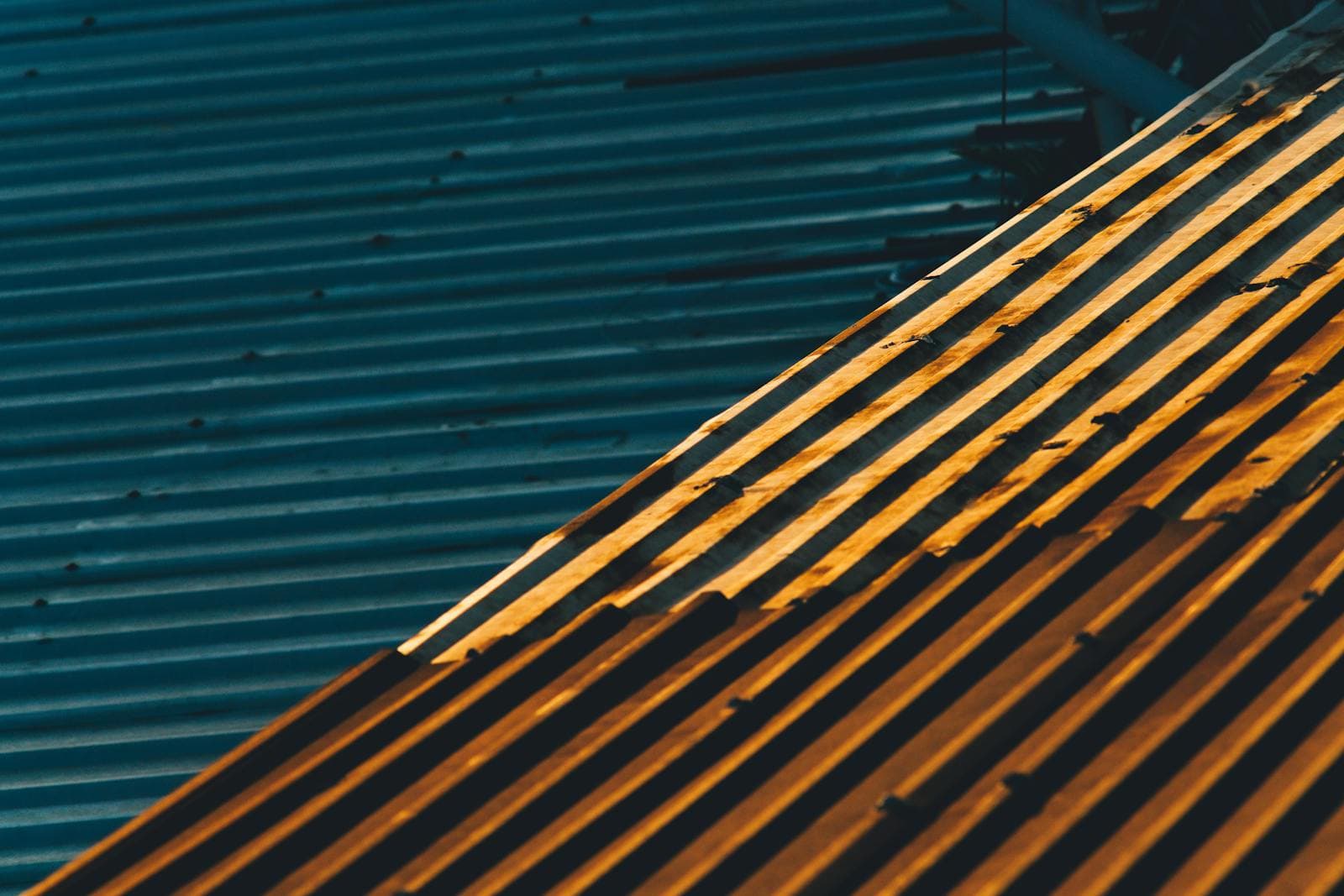 Architectural sheet metal roof in golden-hour light